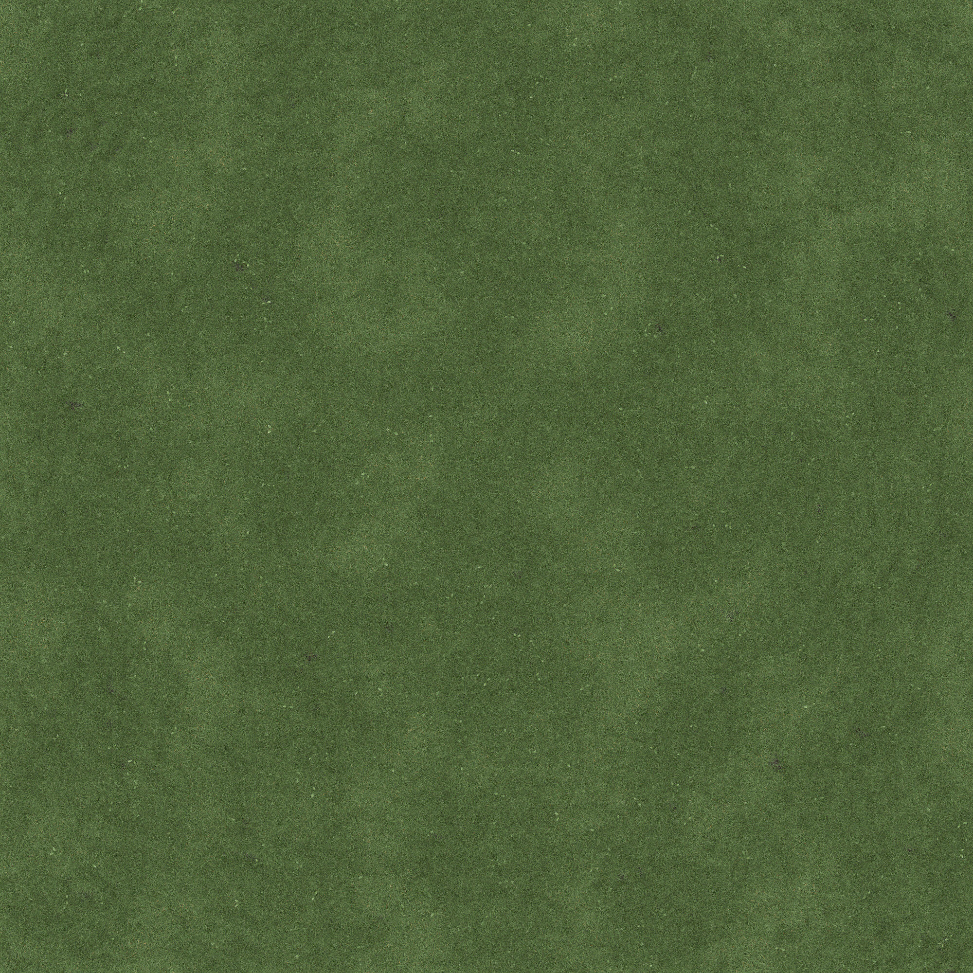 Lawn Grass 01 3D model_9