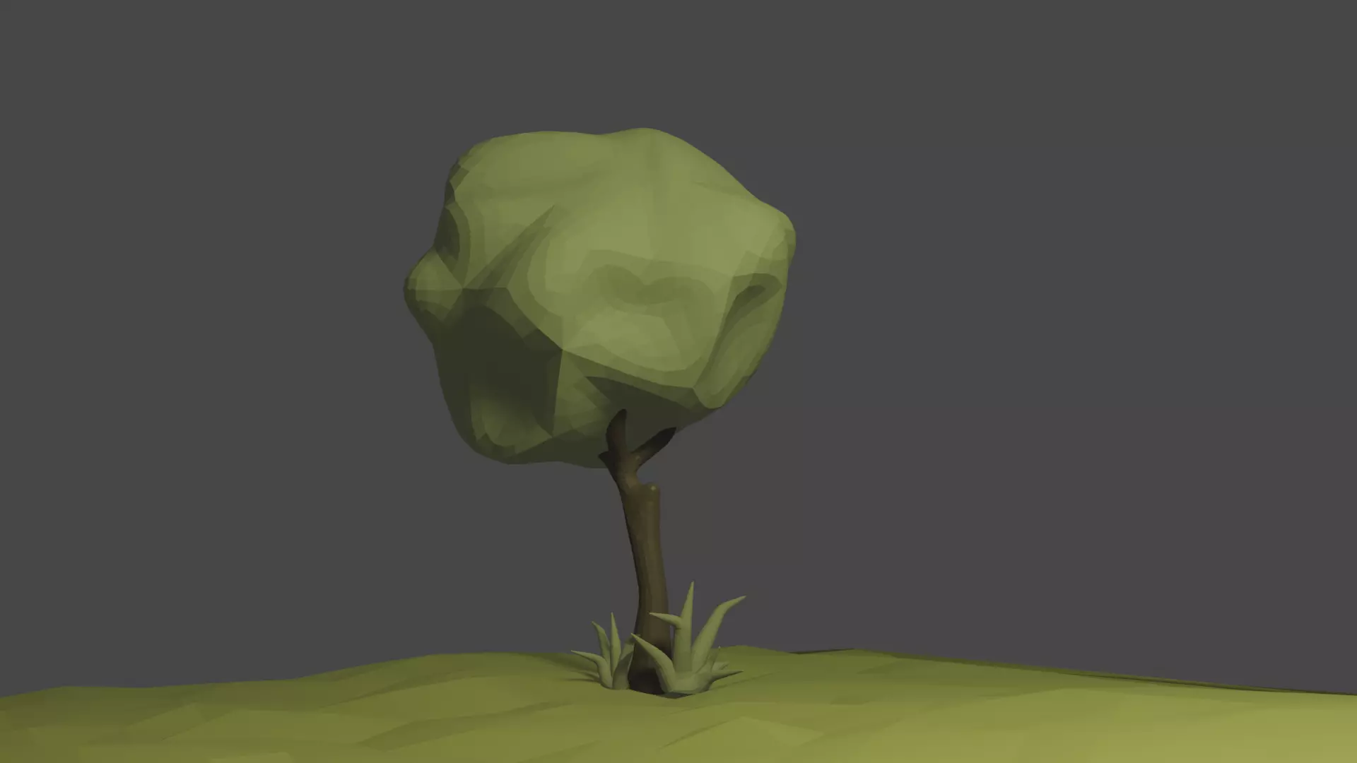 Tree - Plant low-poly 3D model free Free low-poly 3D model