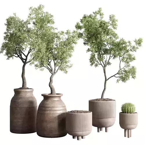  plant 114 vase concrete wood old pot tree cactus 3D model