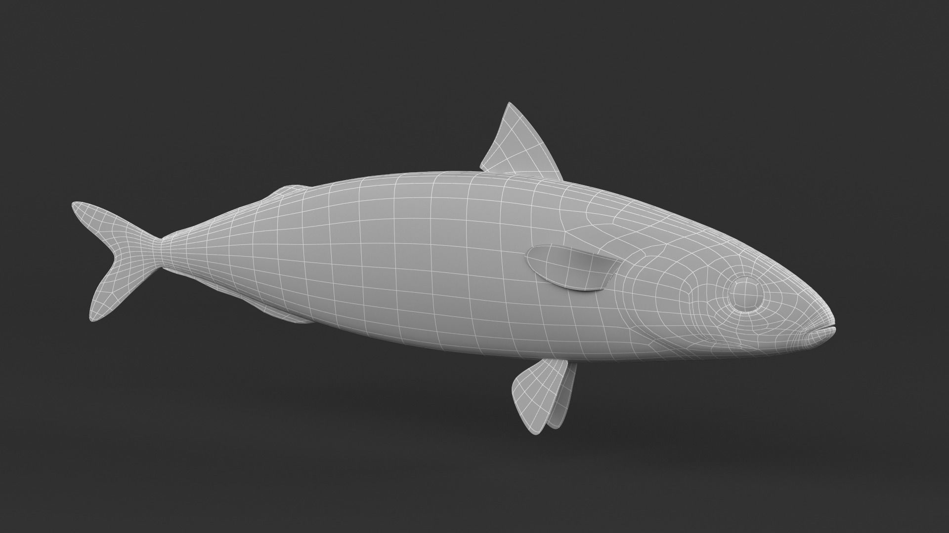 Mackerel Fish 3D model_6