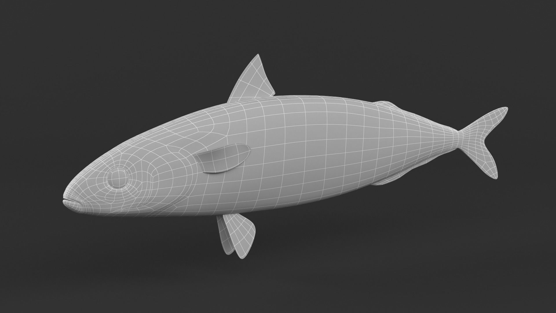 Mackerel Fish 3D model_8