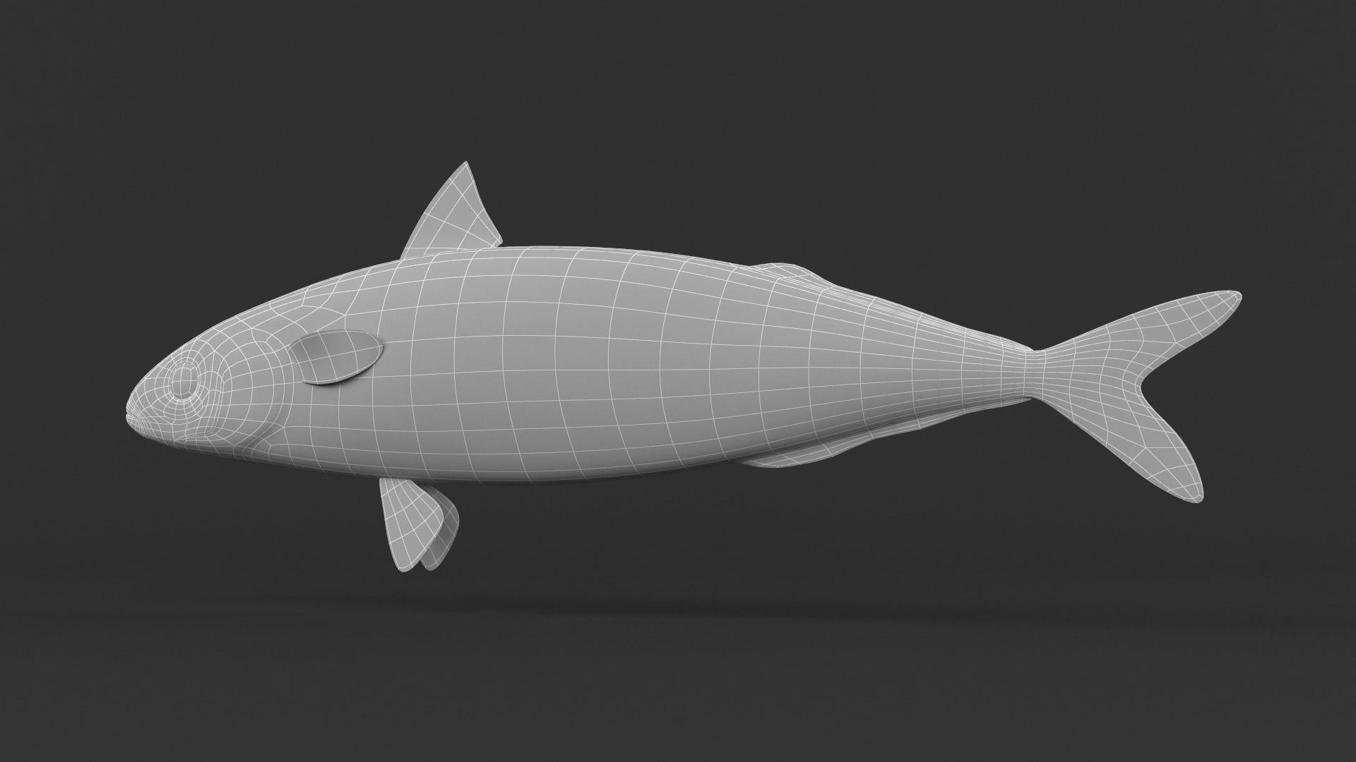 Mackerel Fish 3D model_7