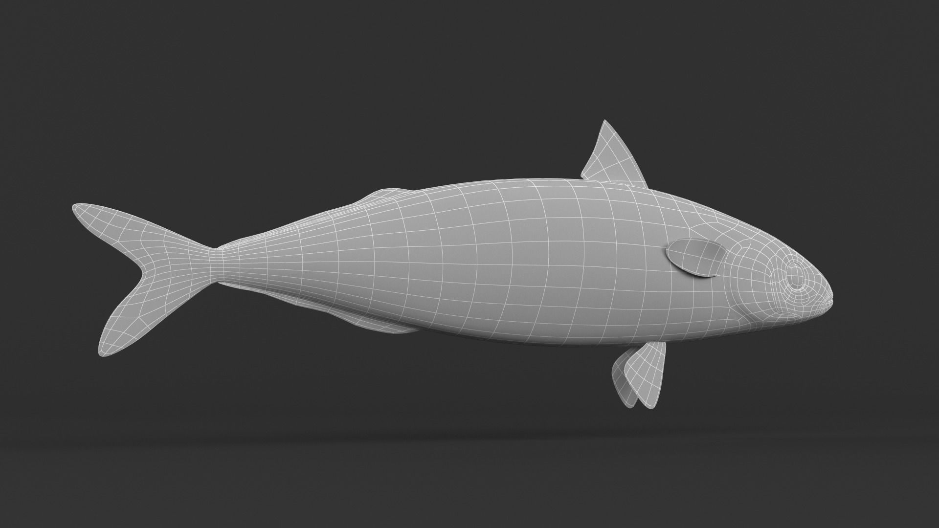 Mackerel Fish 3D model_9