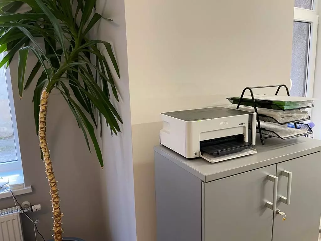 Buildings printer and plant in office Low-poly 3D model