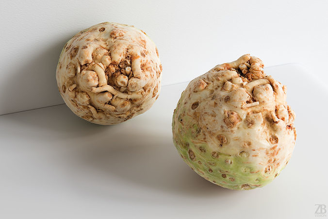 Celeriac 3D model