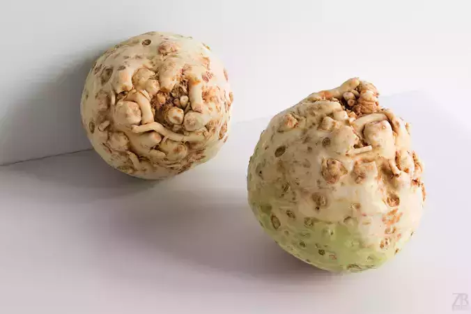Celeriac 3D model