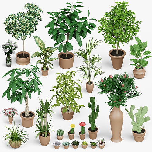 AD PLANTS Low-poly 3D model