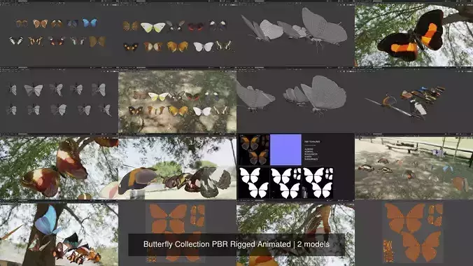 Butterfly Collection PBR Rigged Animated
