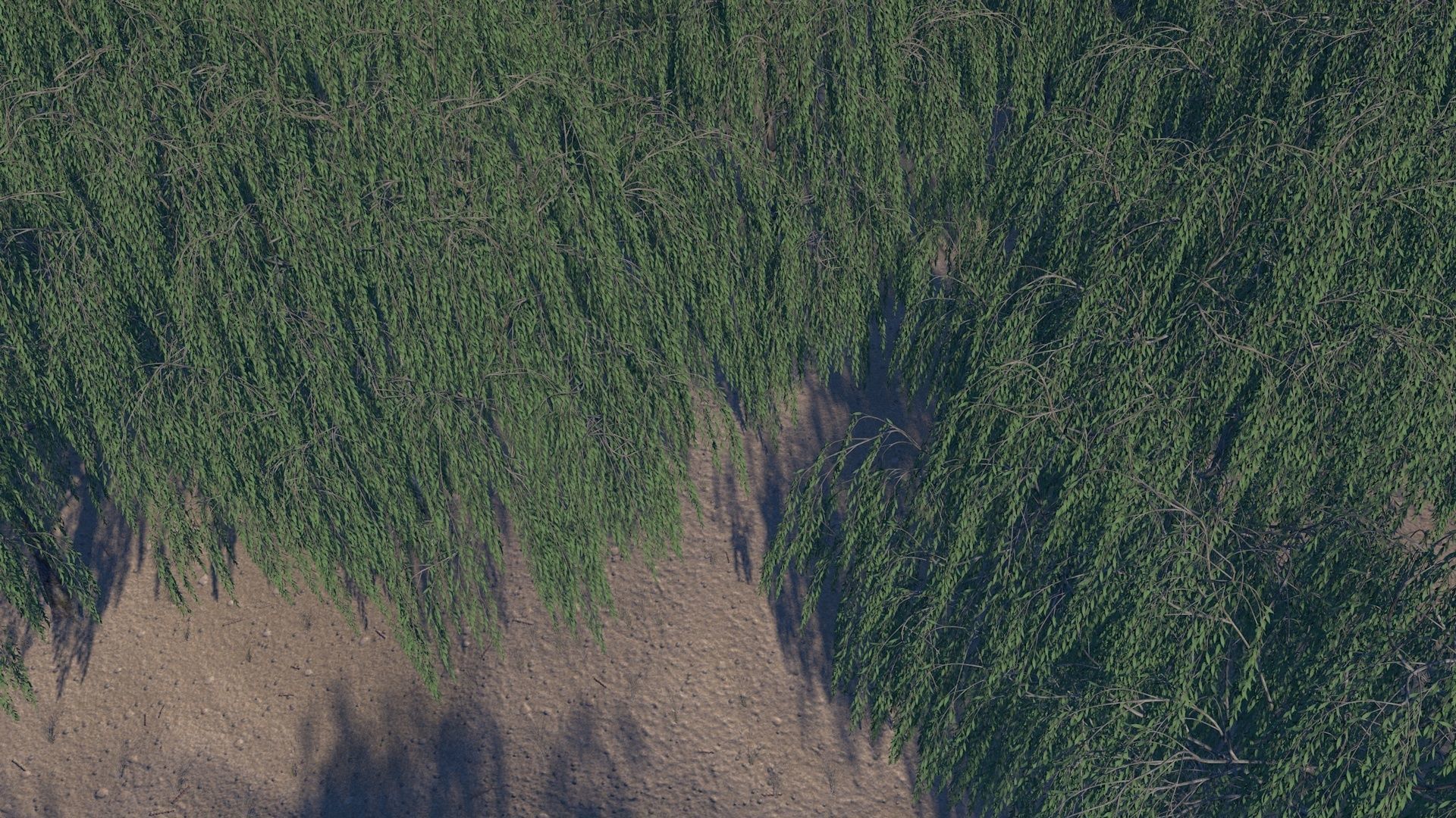 Sand Environment Template C4D 3D model_4