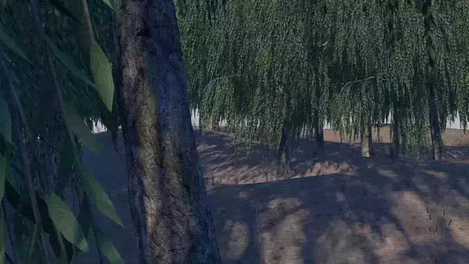 Sand Environment Template C4D