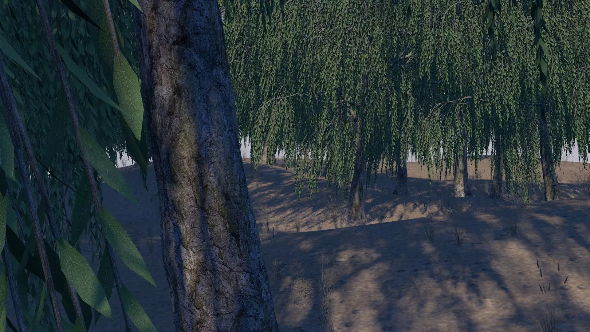 Sand Environment Template C4D 3D model_0