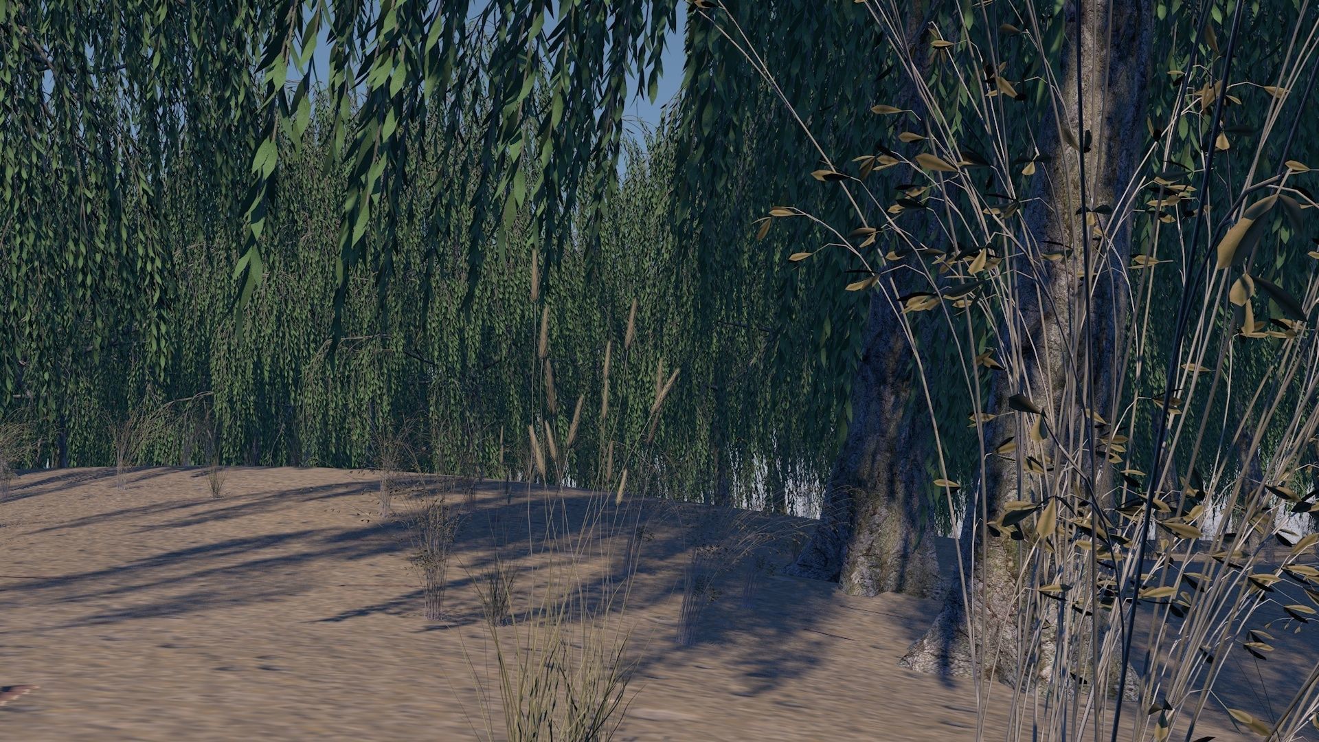 Sand Environment Template C4D 3D model_1