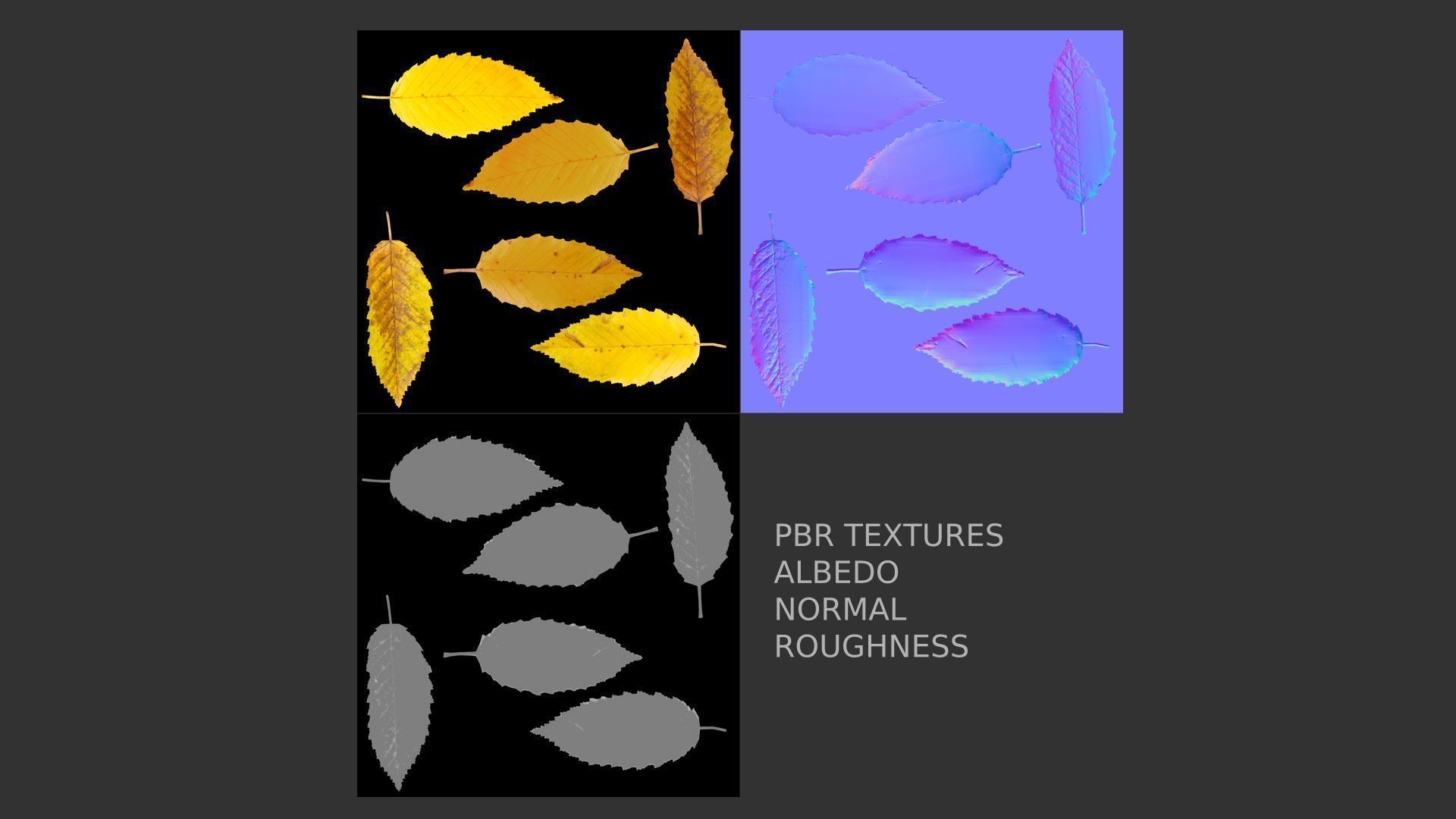 Fall Autumn Leaves Pack 3D model_26