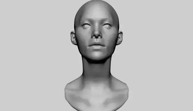 Female Head Basemesh v3 3D model
