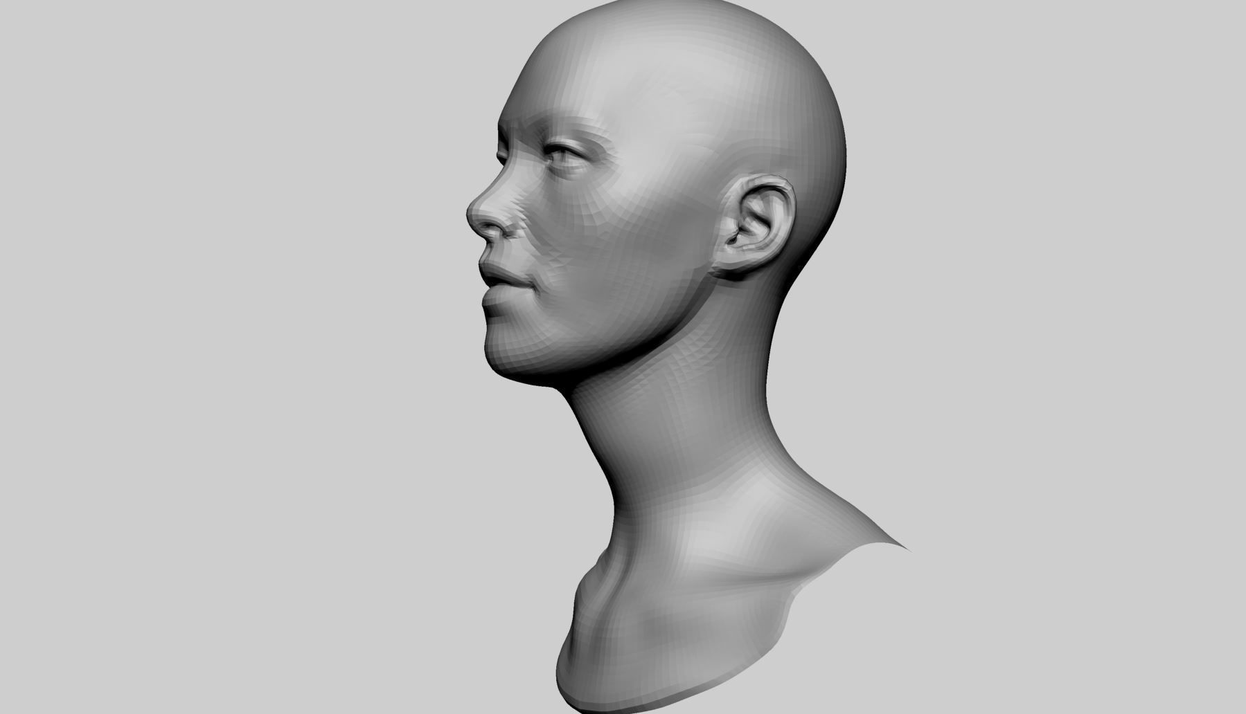 Female Head Basemesh v3 3D model_7