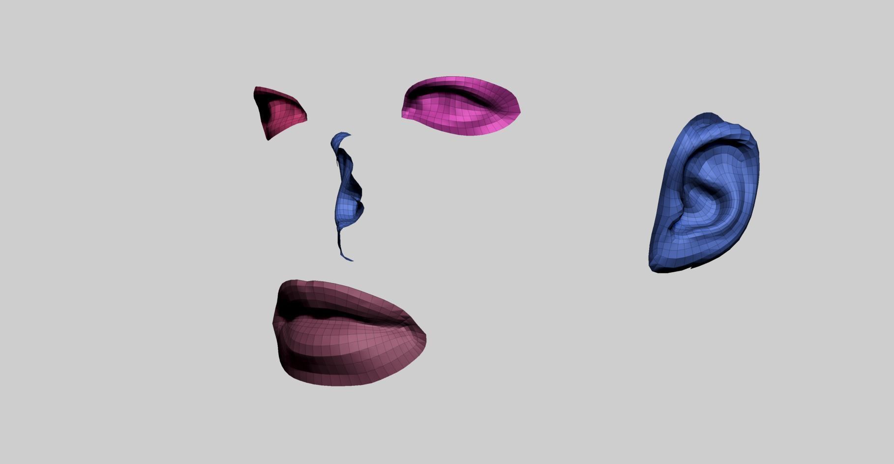 Female Head Basemesh v3 3D model_12