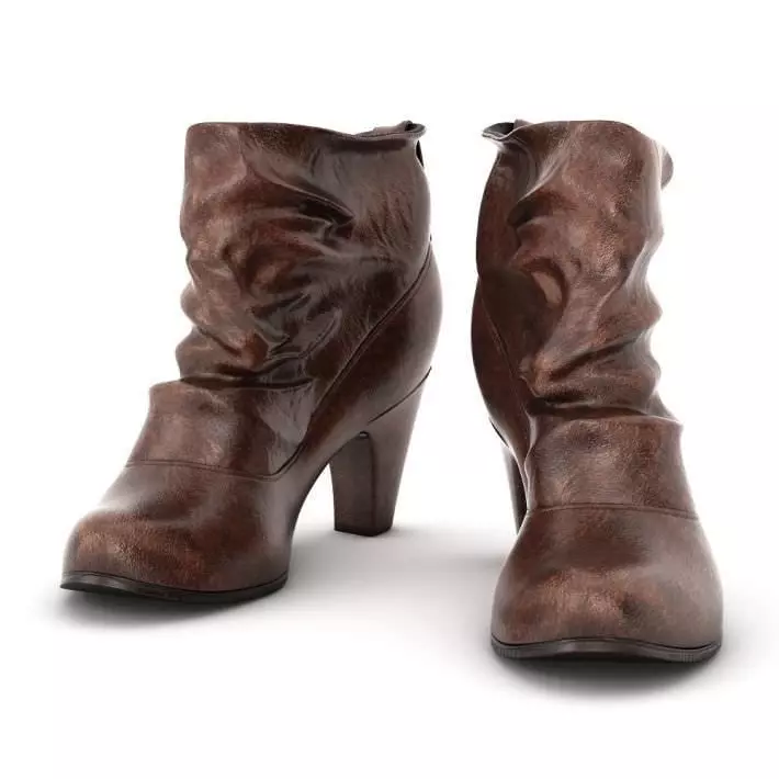 Brown Women s Boots 3D model_0