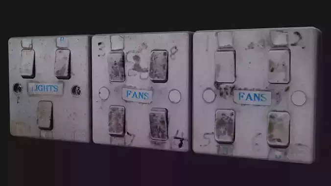 Fan and Light Switch