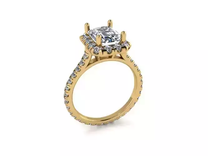 A ring with a diamond 334