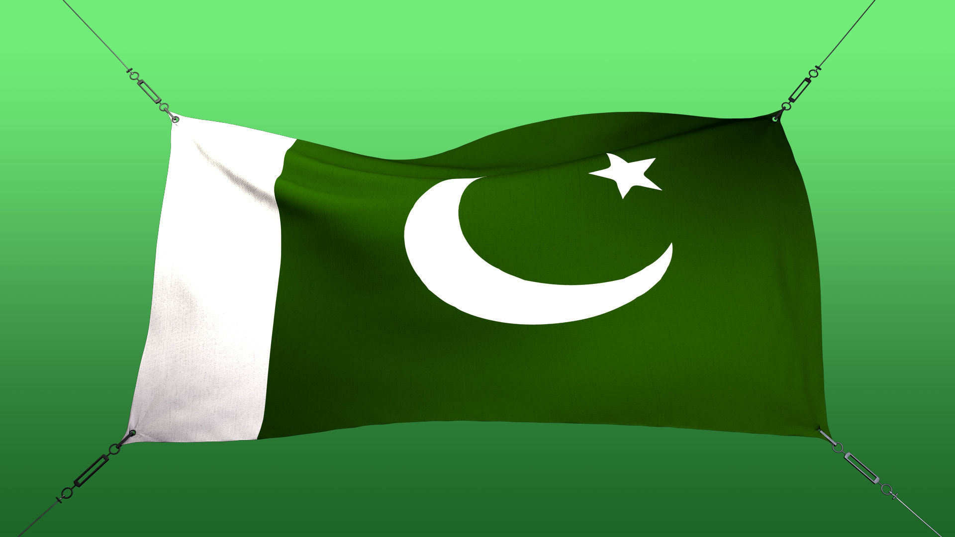 Animated Flag- Wired Transitional Flag  3D model_3