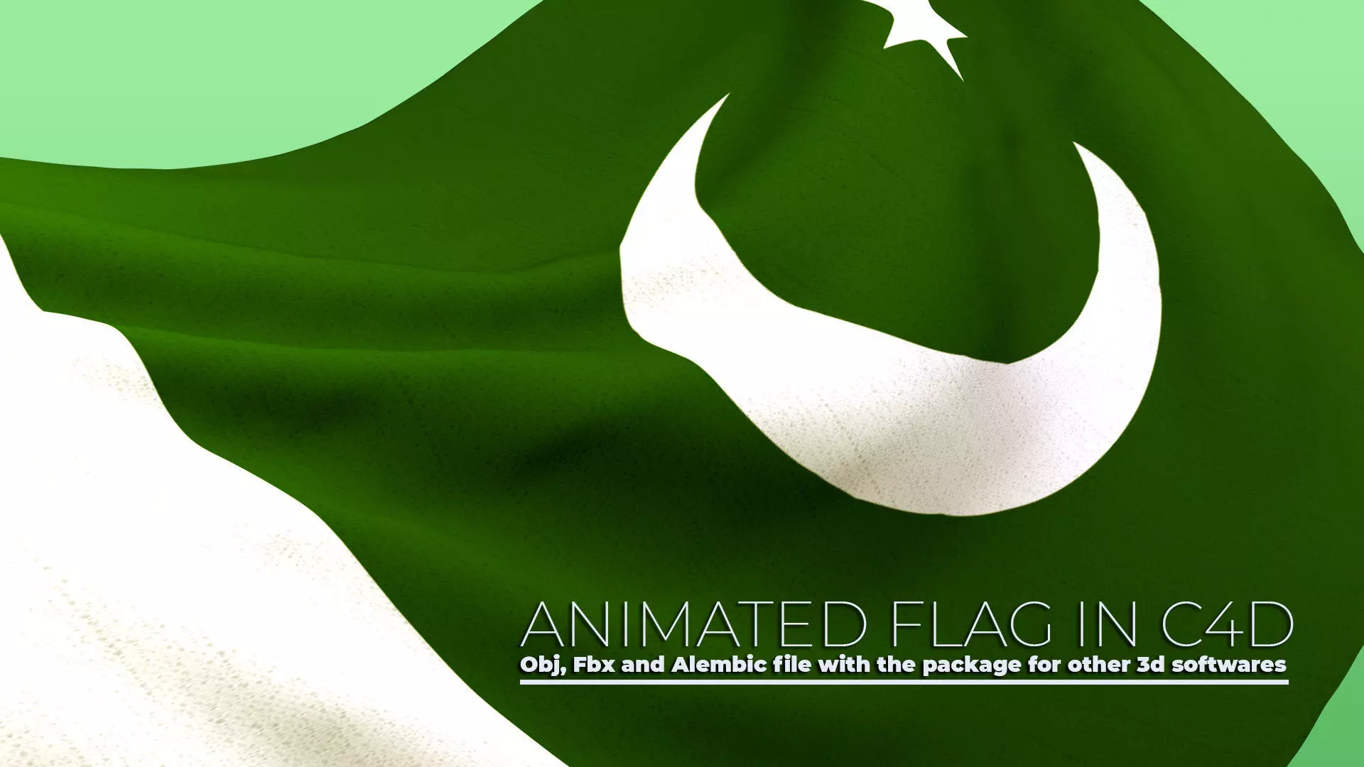 Animated Flag- Wired Transitional Flag  3D model_0