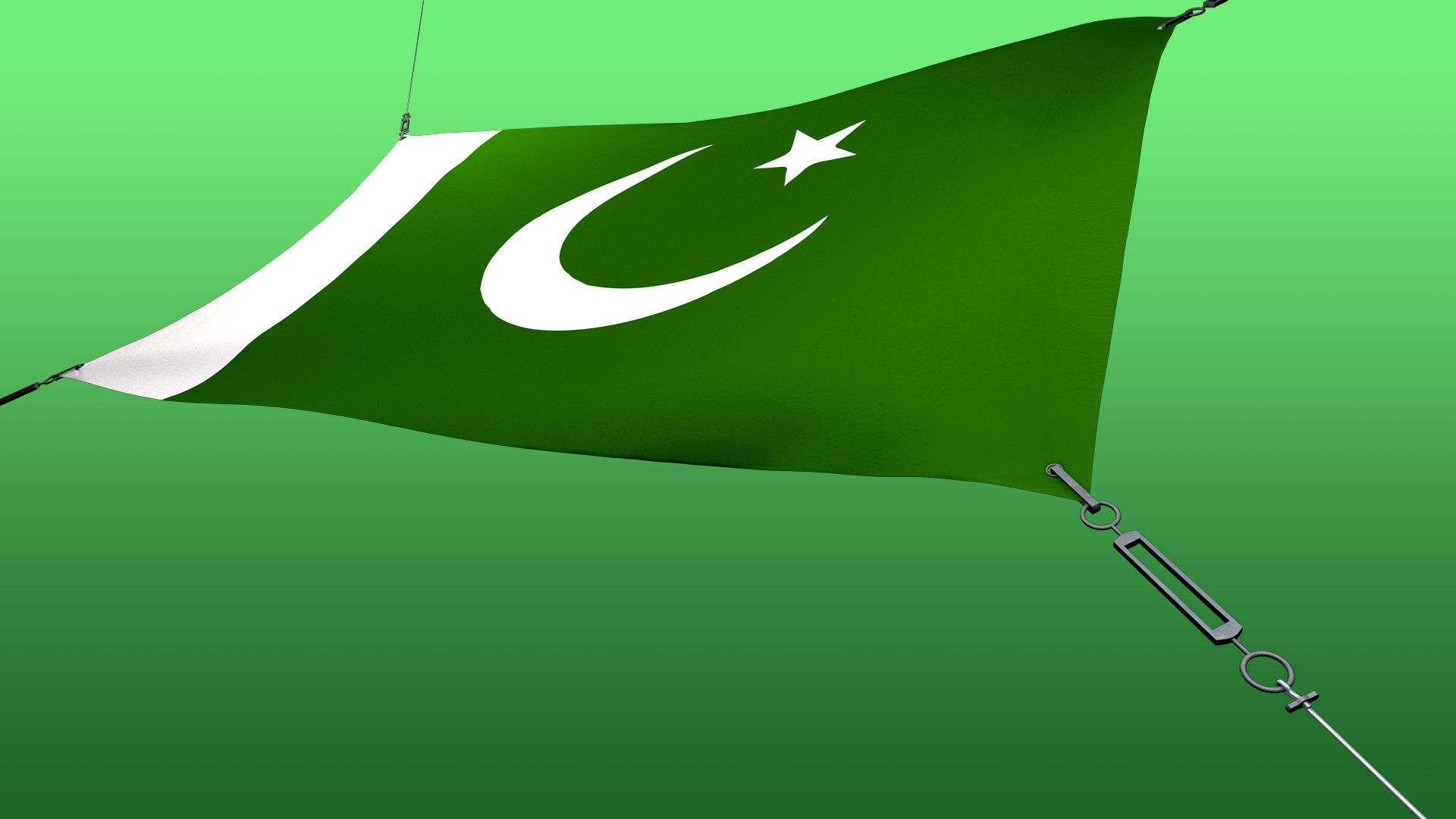 Animated Flag- Wired Transitional Flag  3D model_5