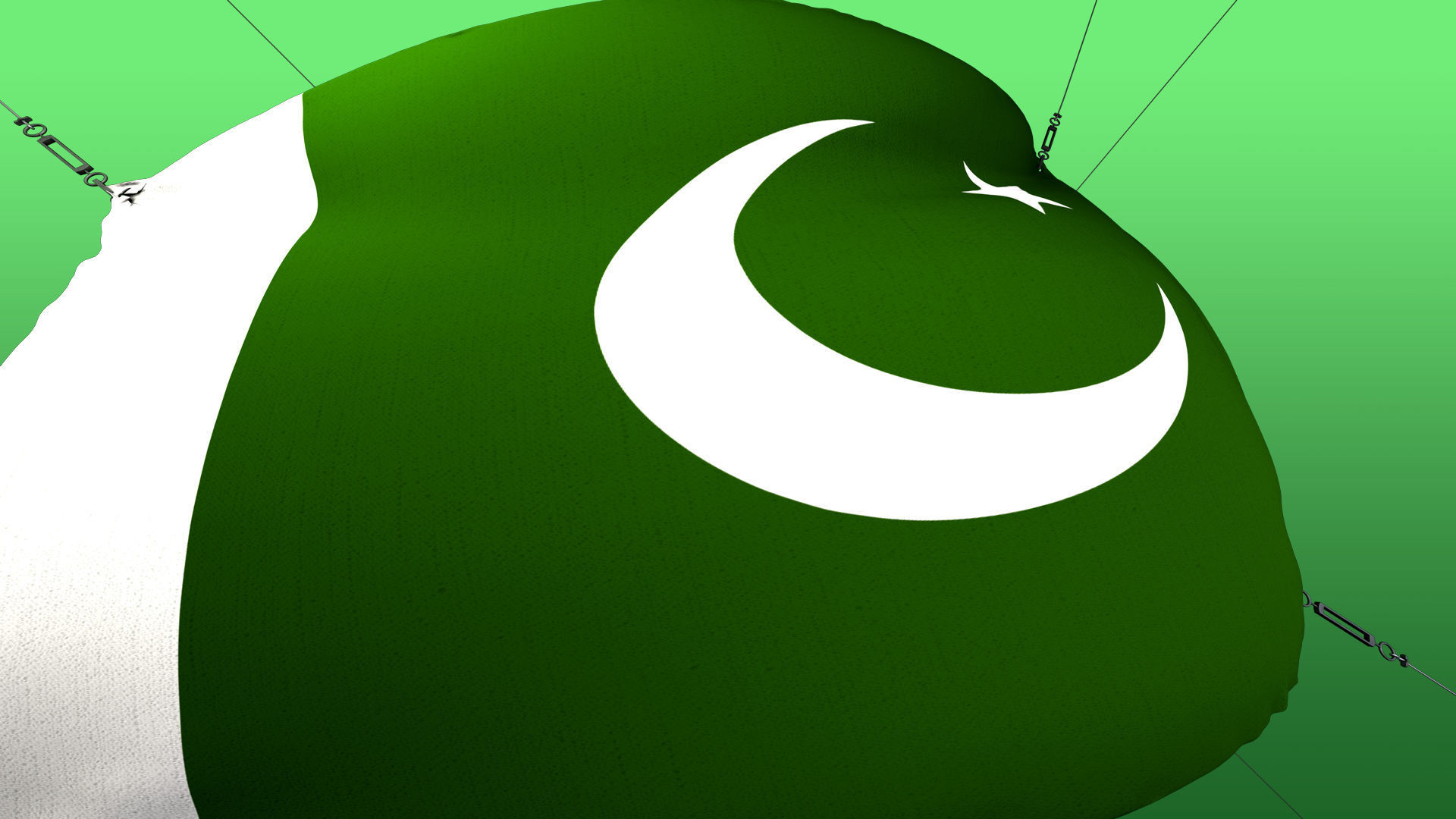 Animated Flag- Wired Transitional Flag  3D model_9