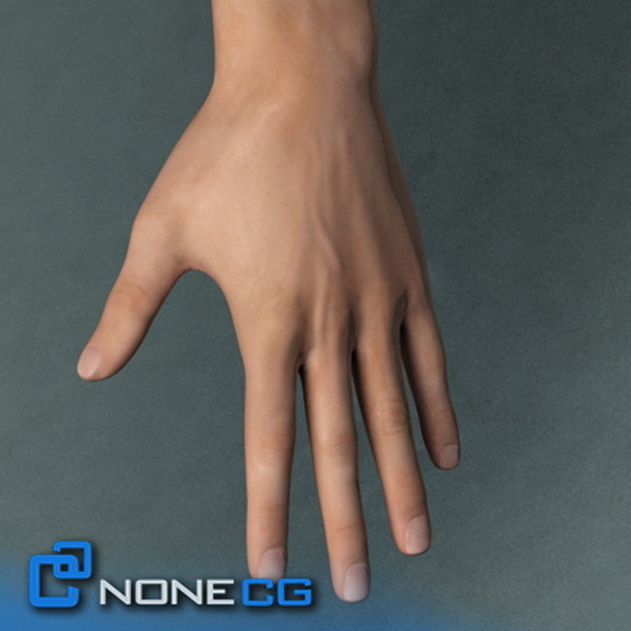 Pack - Adult Males and Female Megapack 3D model_21