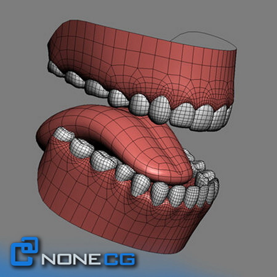 Pack - Adult Males and Female Megapack 3D model_28