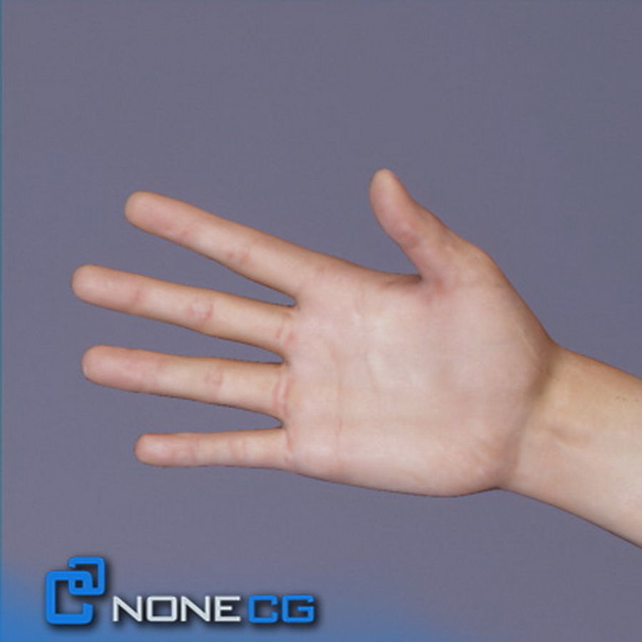 Pack - Adult Males and Female Megapack 3D model_45