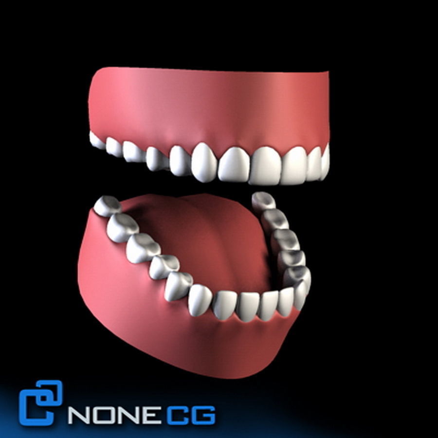 Pack - Adult Males and Female Megapack 3D model_67