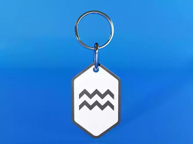 aquarius pendant key ring 3D print model