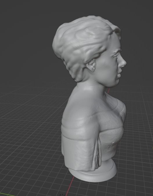 Adele bust 3D print model_29