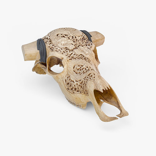 Cow Skull with Dragon Carved 3D 3D model