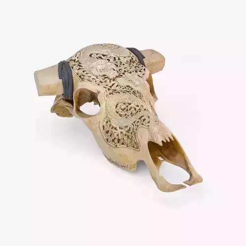 Cow Skull with Dragon Carved 3D