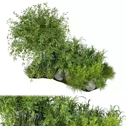 Collection plant vol 244 3D model