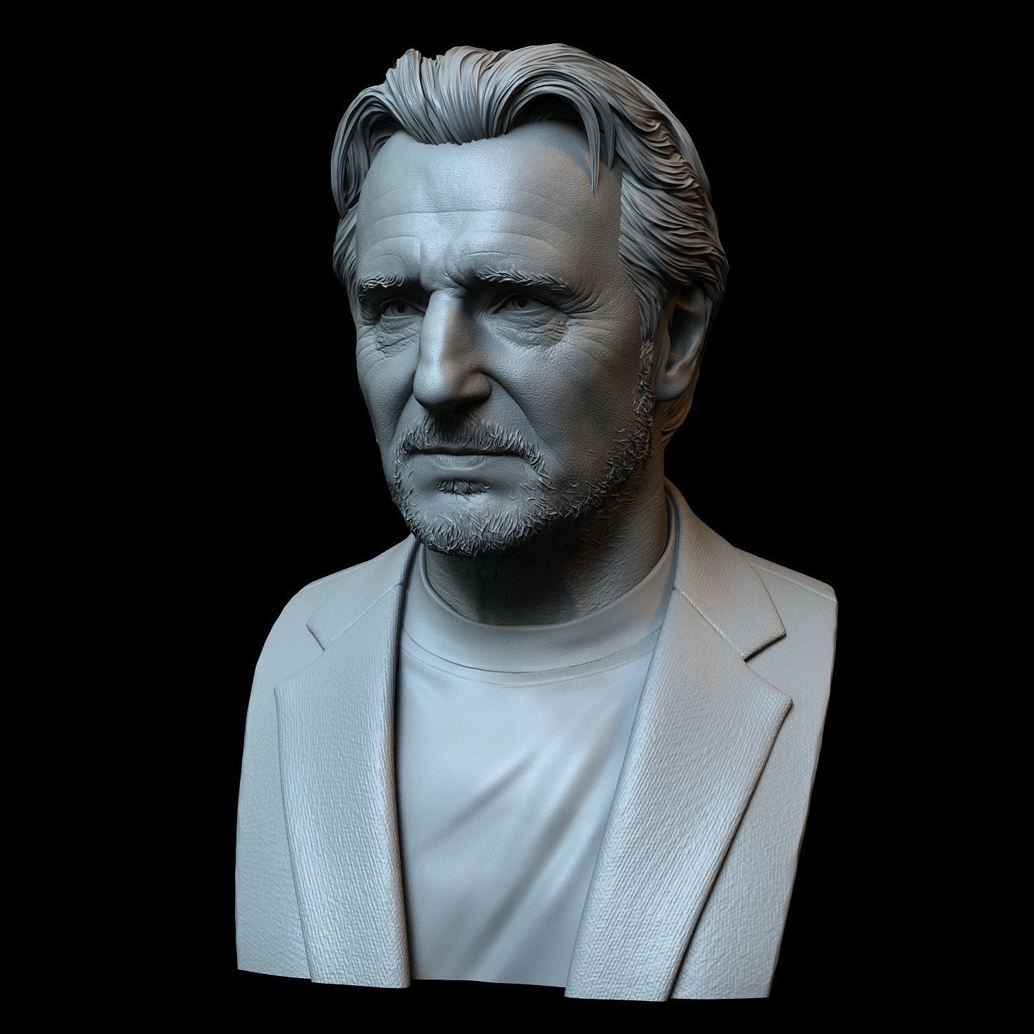 Liam Neeson 3D print model_2