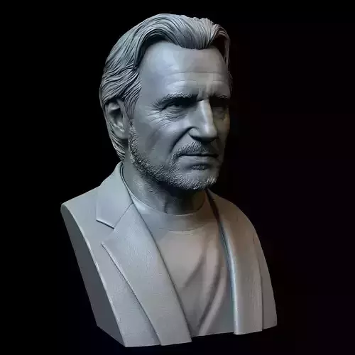 Liam Neeson 3D print model