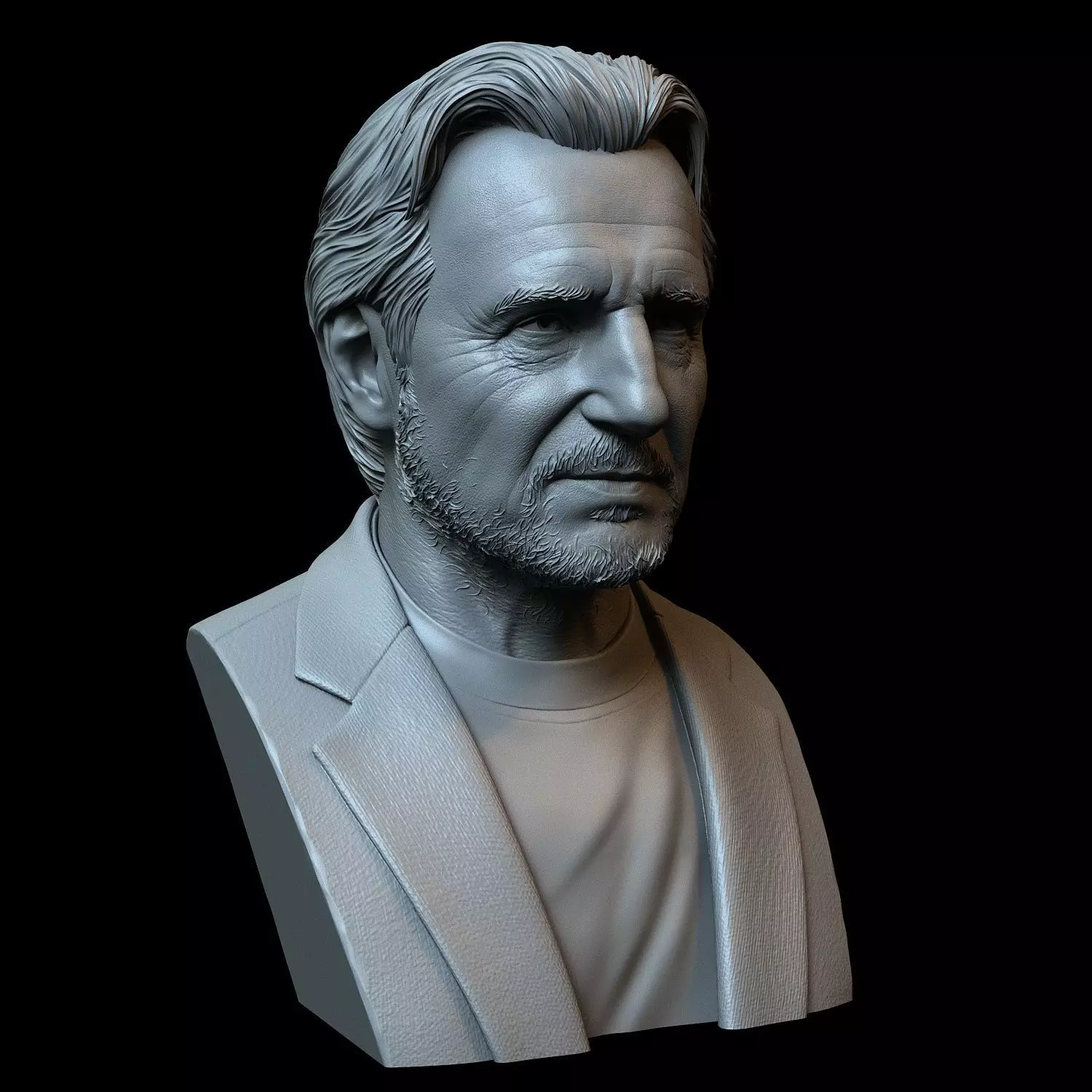 Liam Neeson 3D print model_0