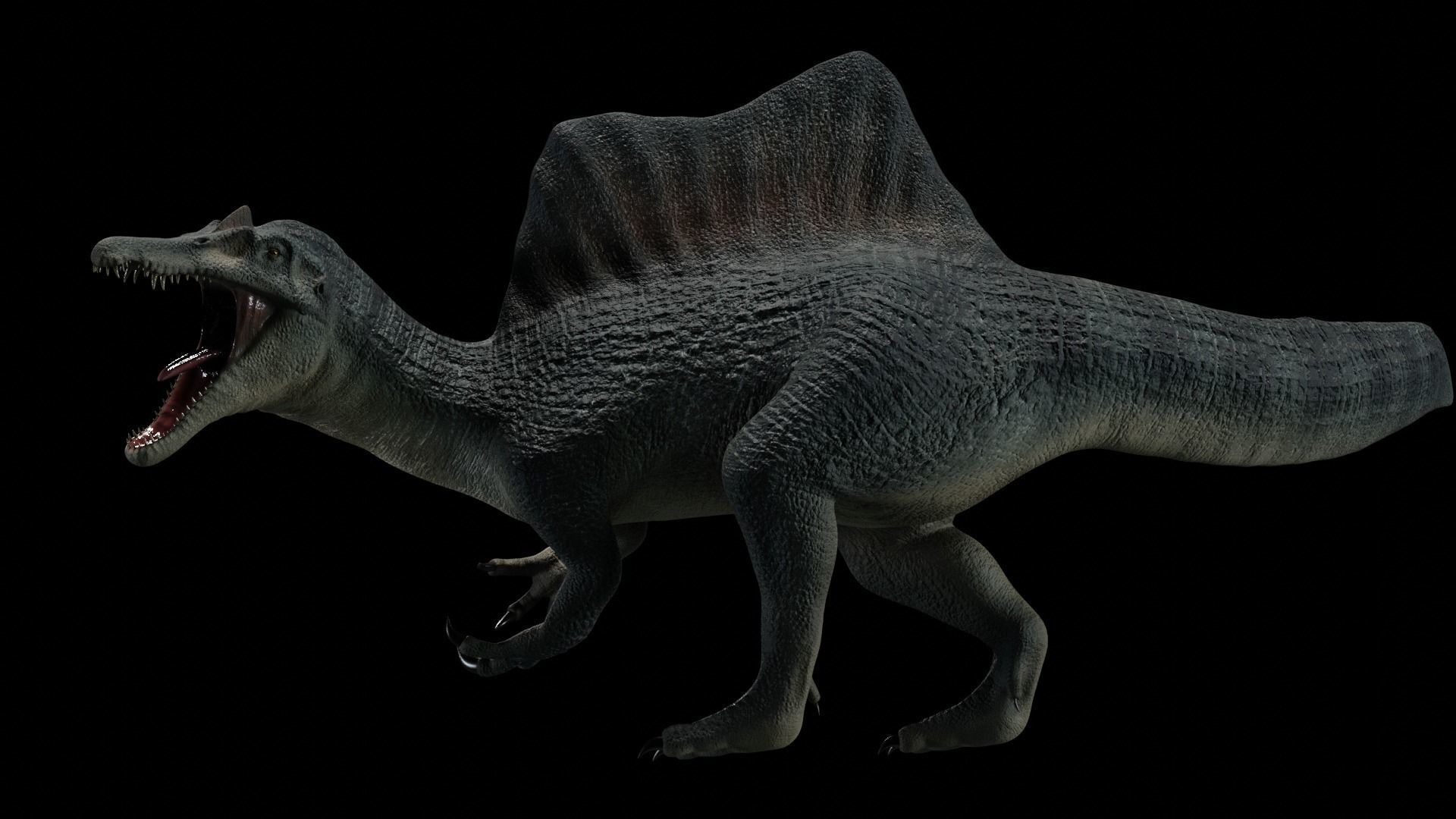 Spinosaurus Dinosaur Low-poly 3D model_7