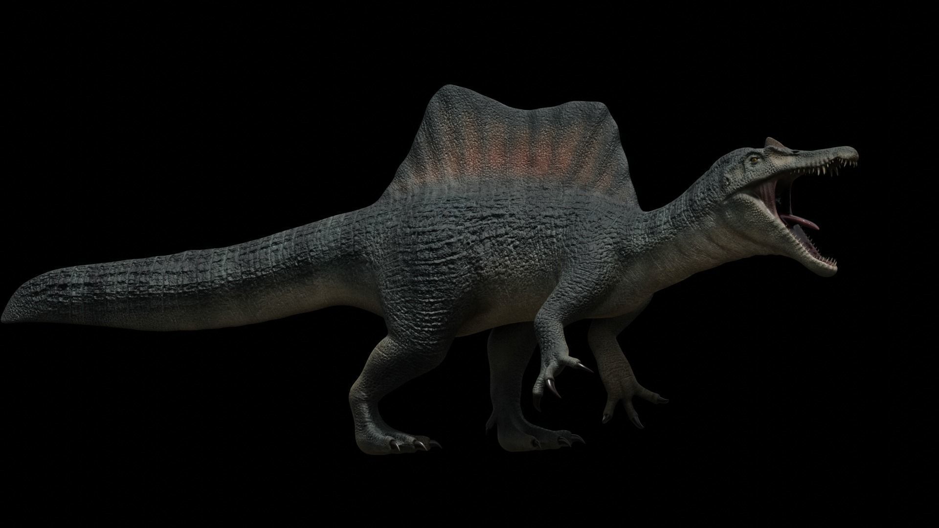 Spinosaurus Dinosaur Low-poly 3D model_34