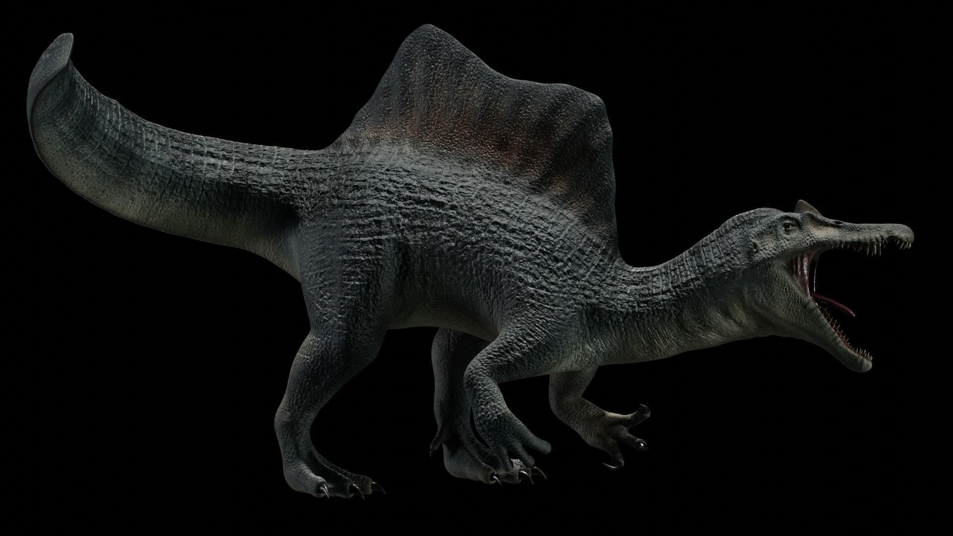 Spinosaurus Dinosaur Low-poly 3D model_43
