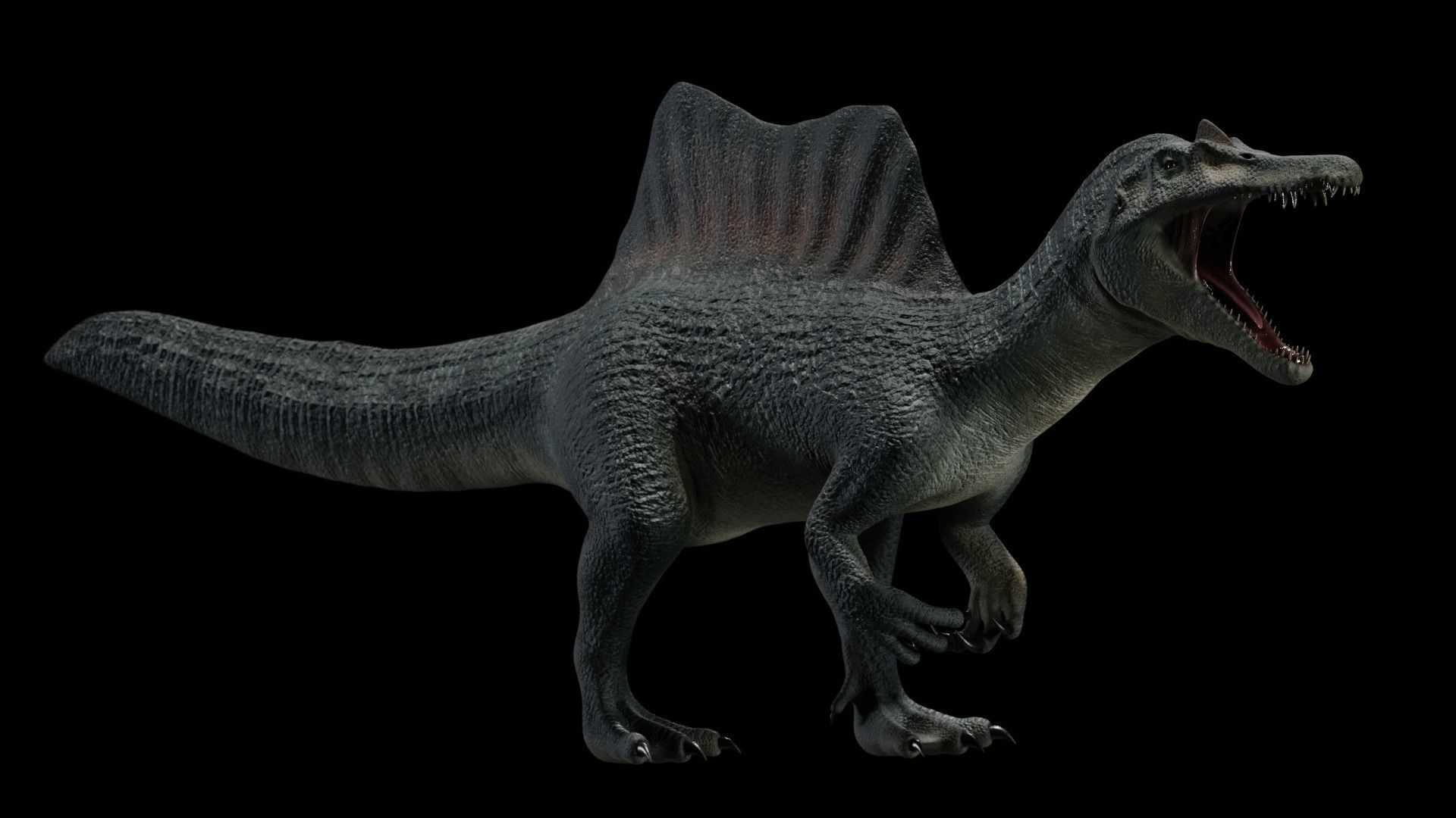 Spinosaurus Dinosaur Low-poly 3D model_42