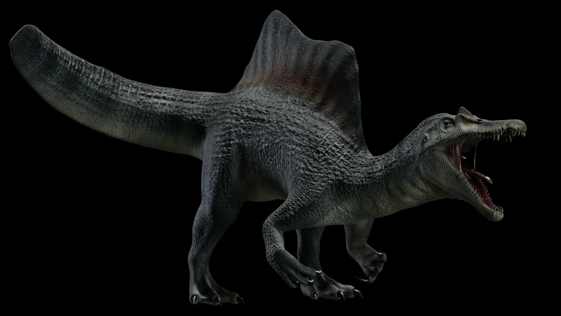 Spinosaurus Dinosaur Low-poly 3D model_41