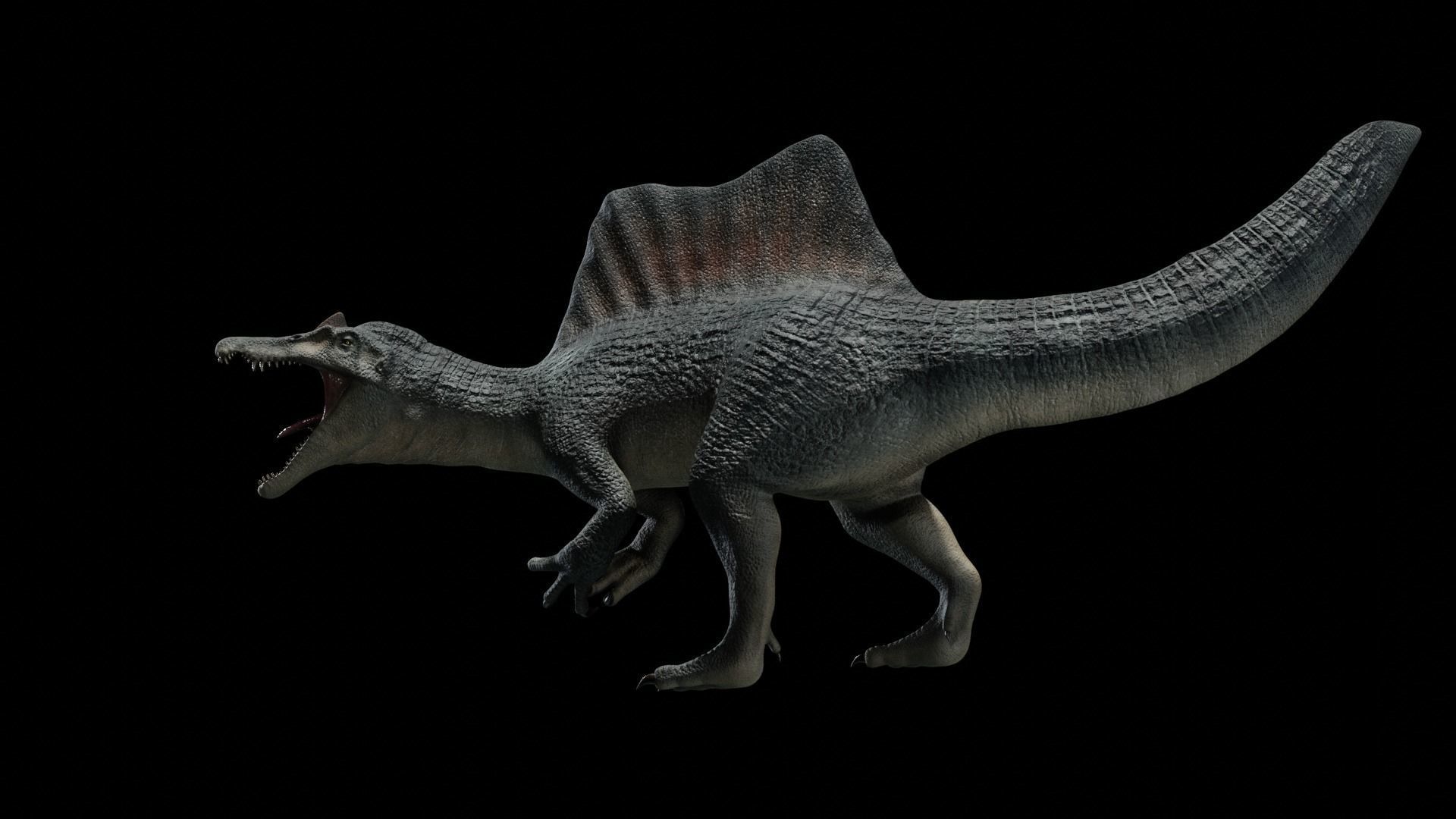 Spinosaurus Dinosaur Low-poly 3D model_2
