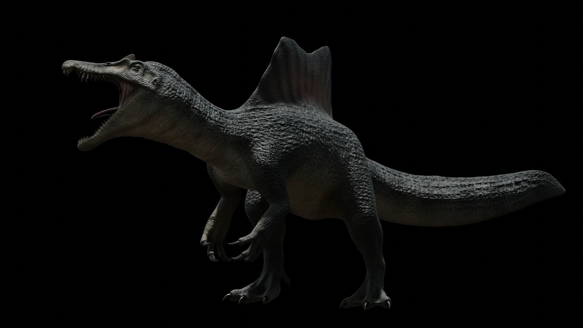 Spinosaurus Dinosaur Low-poly 3D model_32