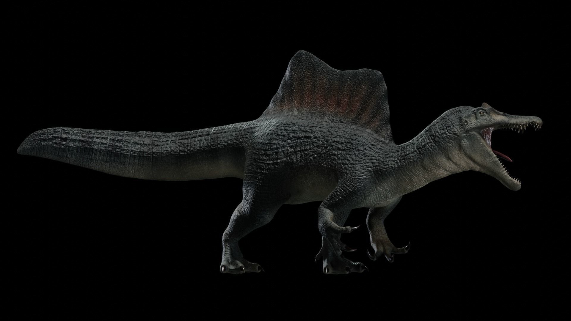 Spinosaurus Dinosaur Low-poly 3D model_38