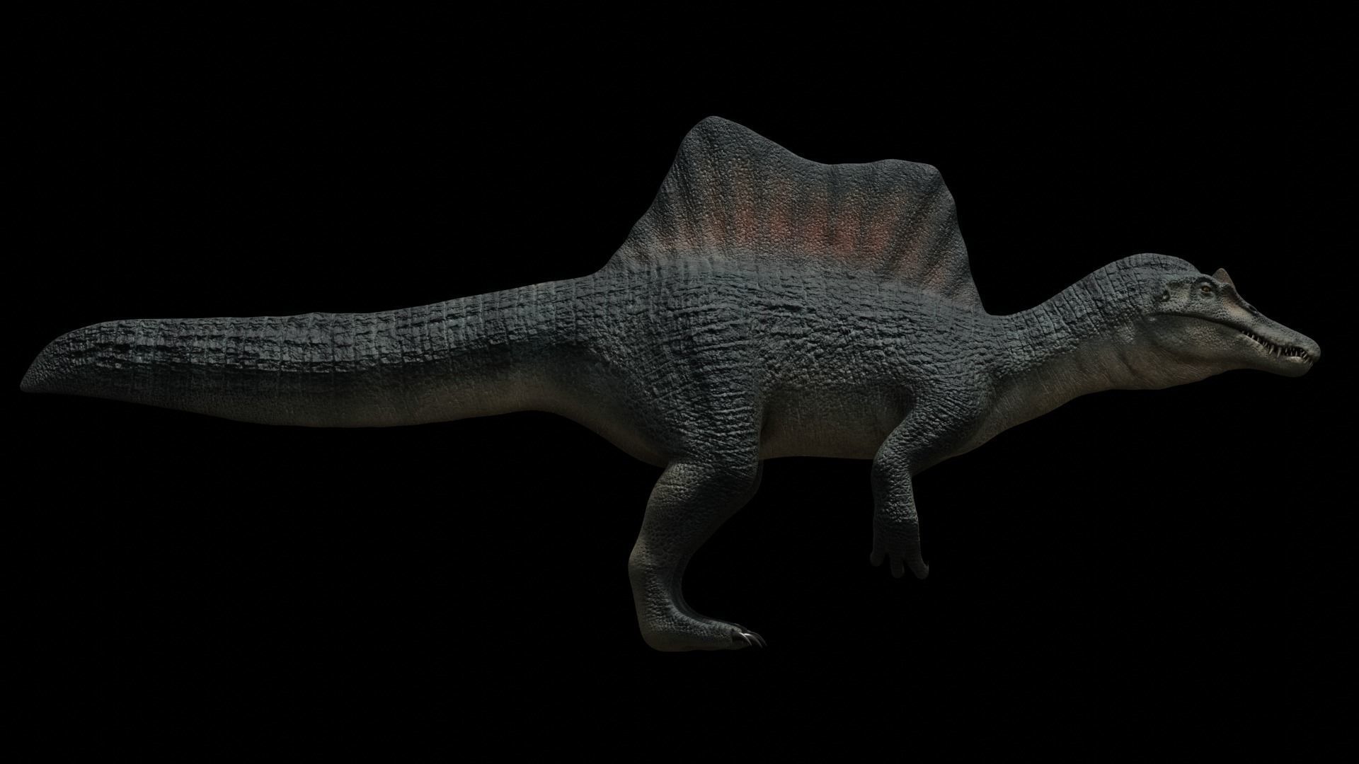Spinosaurus Dinosaur Low-poly 3D model_16