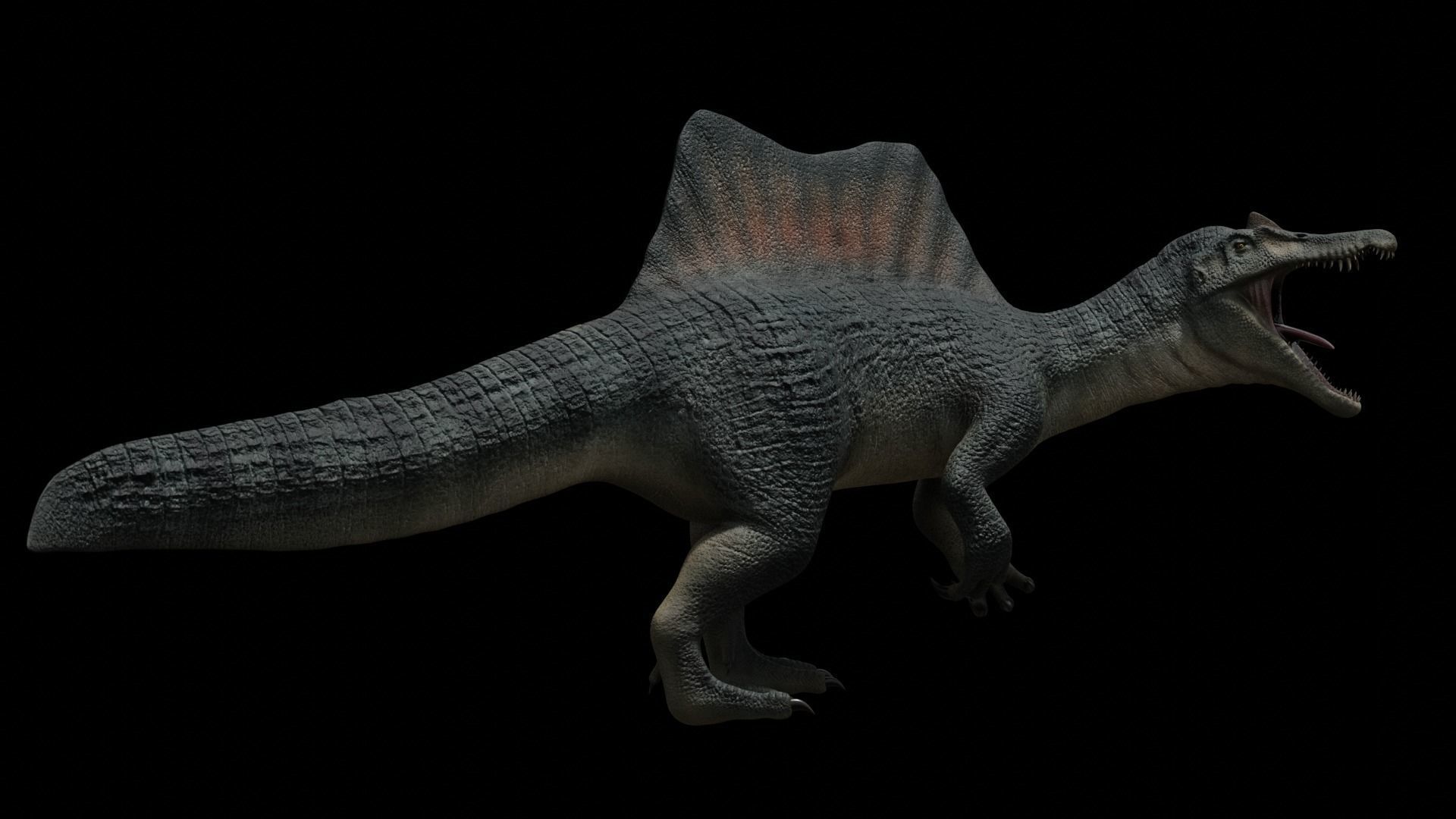 Spinosaurus Dinosaur Low-poly 3D model_31