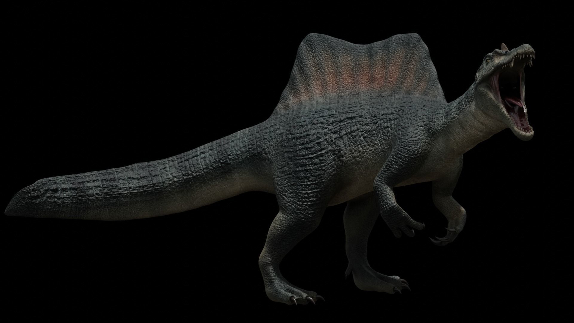 Spinosaurus Dinosaur Low-poly 3D model_33
